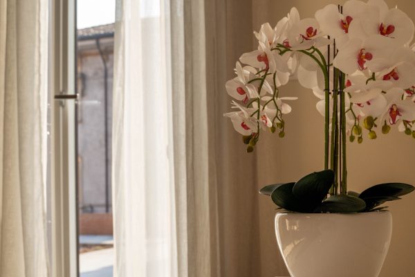 Residenza Grazioli Verona dettagli
